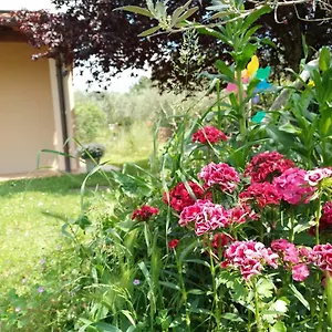 A La Maison Reggello