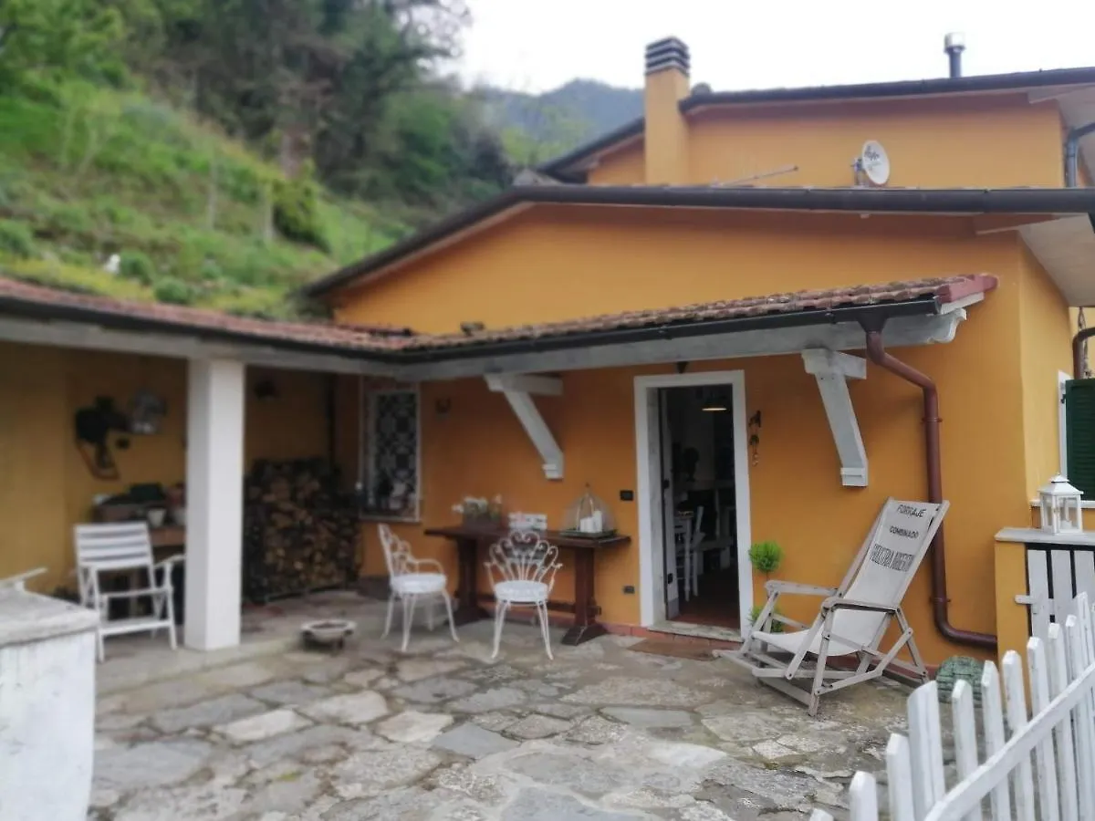 Il Metato Di Gallena Bed & Breakfast Stazzema Italy