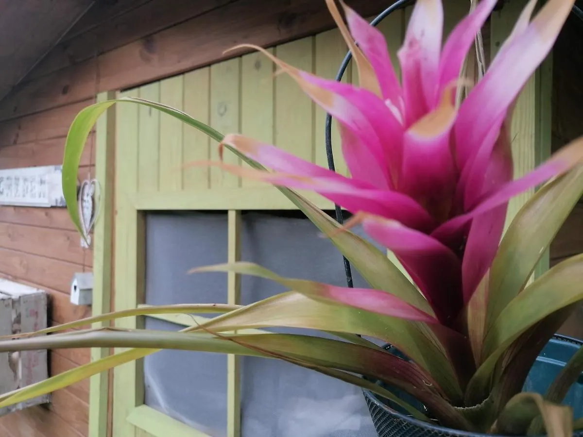 Il Metato Di Gallena Bed & Breakfast Stazzema 0*,  Italy